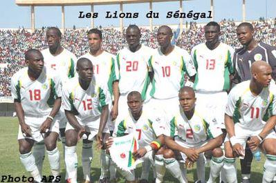 les lions de la teranga